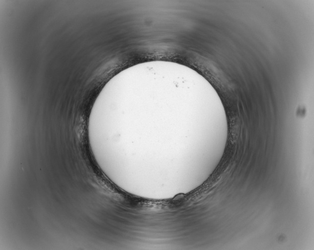 X0000098090077200805021056