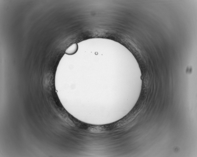 X0000098090079200805021056