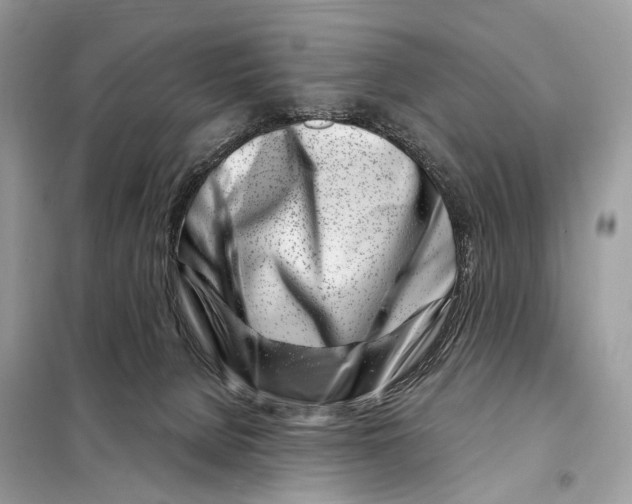 X0000098090080200805021056