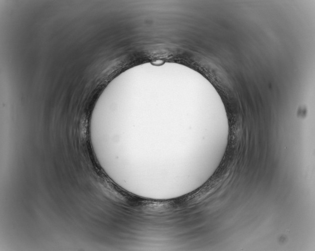 X0000098090081200805021056