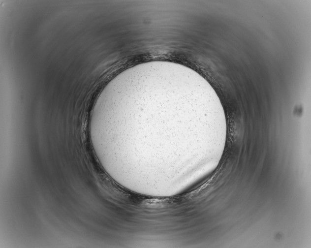 X0000098090082200805021056