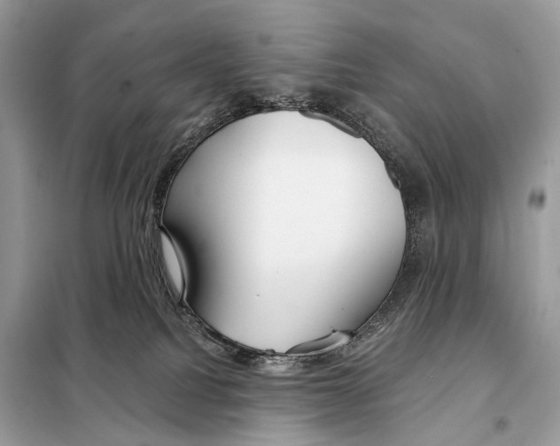 X0000098090088200805021056