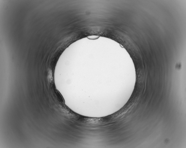 X0000098090089200805021056