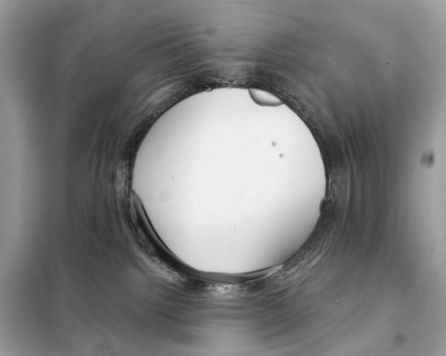 X0000098090092200805021056