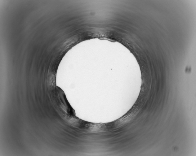 X0000098090096200805021056