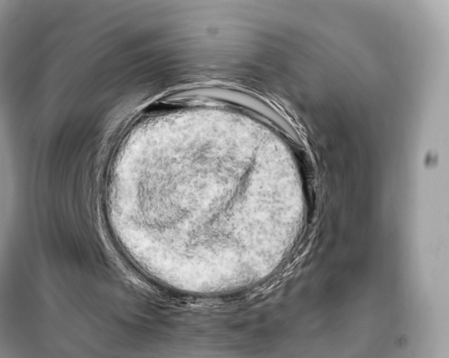 X0000098090097200805021055