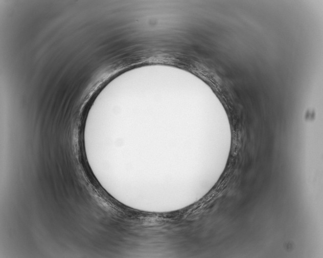 X0000098090098200805021055