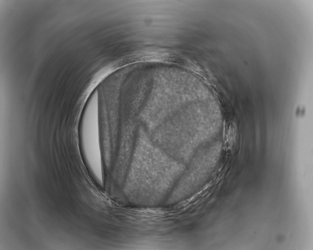 X0000098090099200805021055