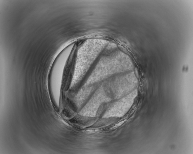 X0000098090100200805021055