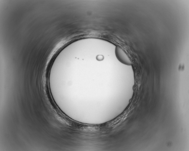 X0000098090102200805021055