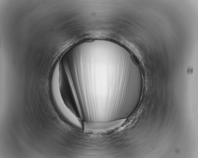 X0000098090105200805021055