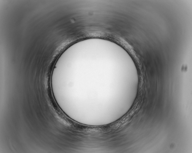 X0000098090106200805021055