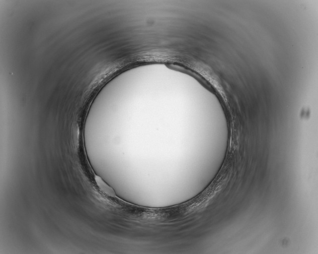 X0000098090109200805021055