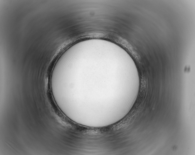 X0000098090110200805021055