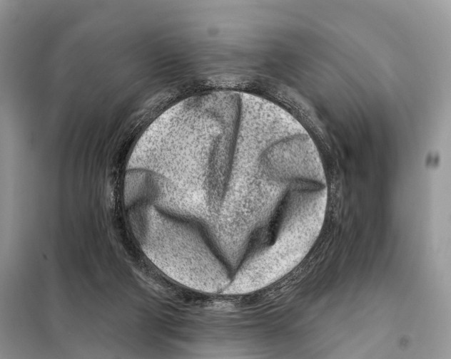 X0000098090114200805021055