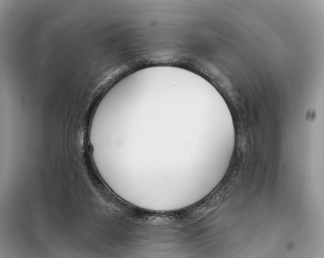 X0000098090115200805021055