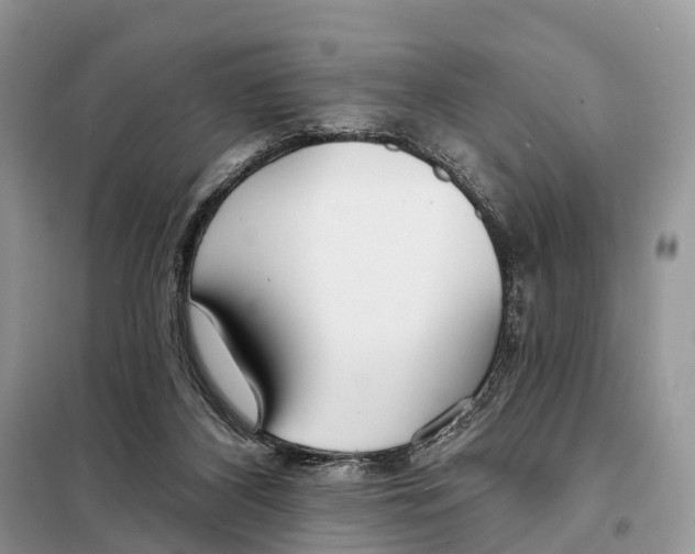 X0000098090116200805021055