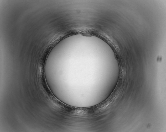 X0000098090117200805021055