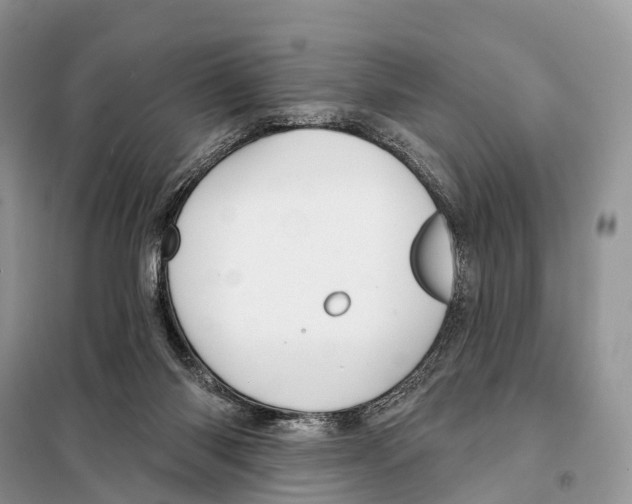 X0000098090118200805021055