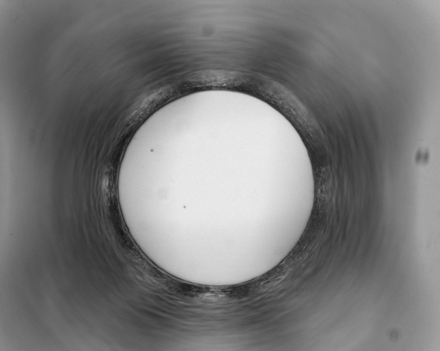 X0000098090119200805021055