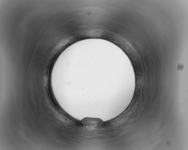 X0000098090120200805021055