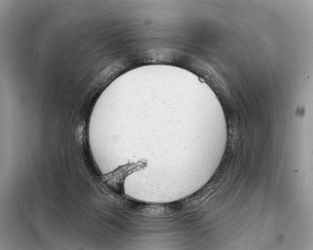 X0000098090123200805021055