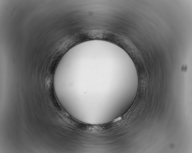 X0000098090125200805021055