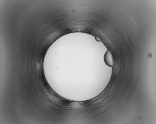 X0000098090126200805021055