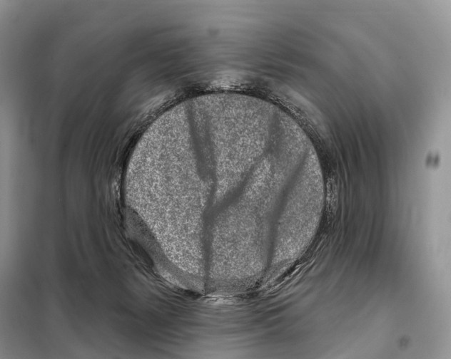 X0000098090127200805021055