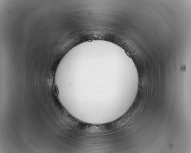 X0000098090129200805021055