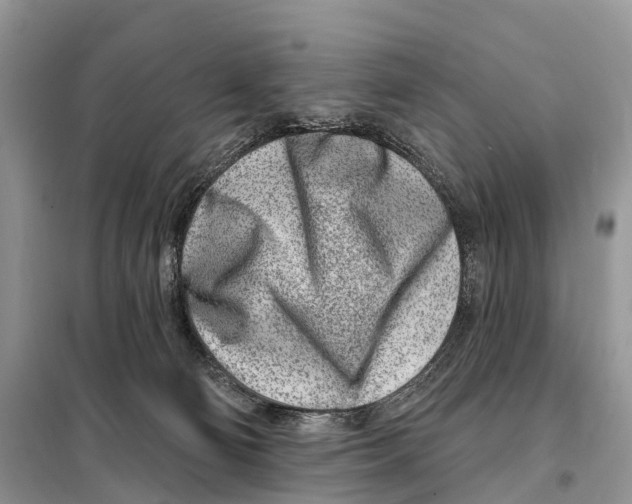 X0000098090130200805021055