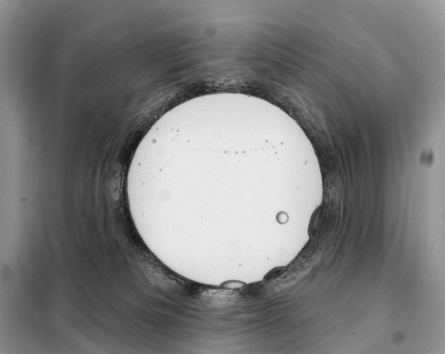 X0000098090133200805021055