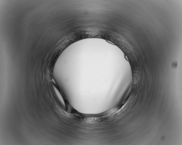 X0000098090136200805021055