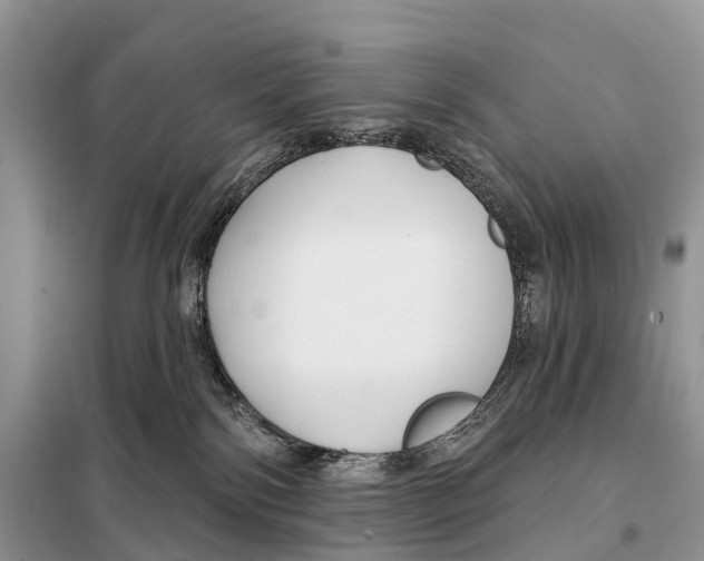 X0000098090138200805021055