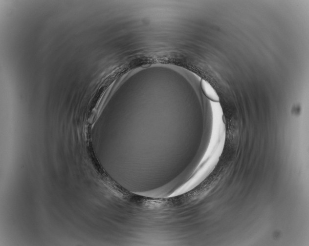 X0000098090139200805021055