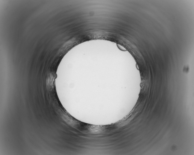 X0000098090142200805021055