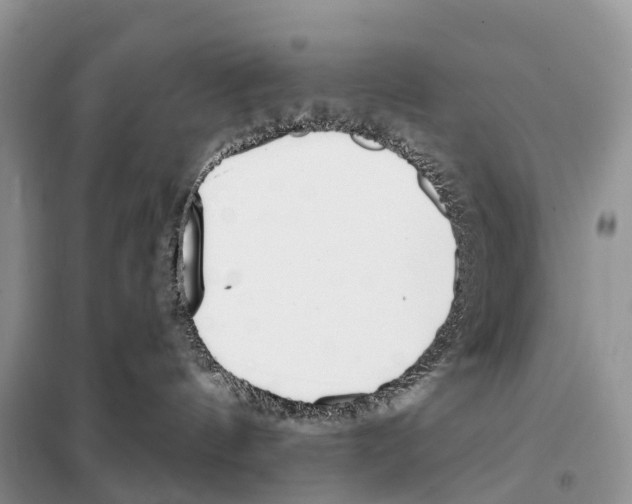 X0000098090144200805021055