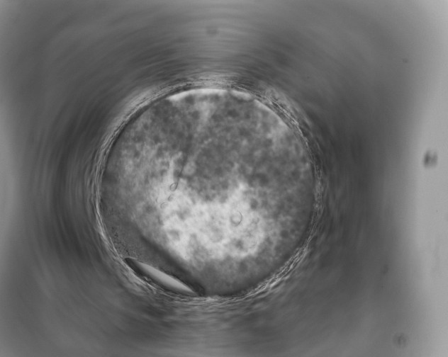 X0000098090145200805021054