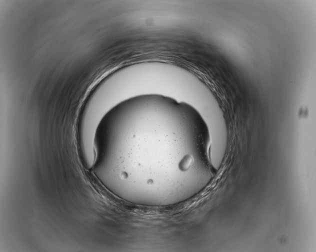 X0000098090146200805021054