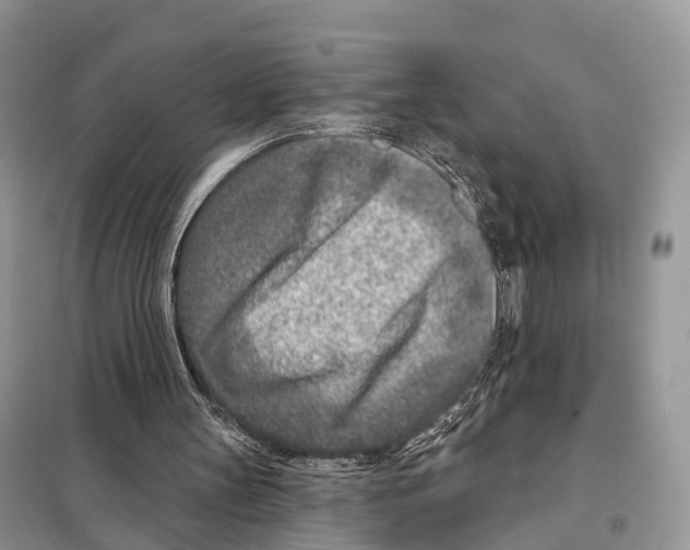 X0000098090147200805021054