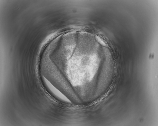 X0000098090149200805021054