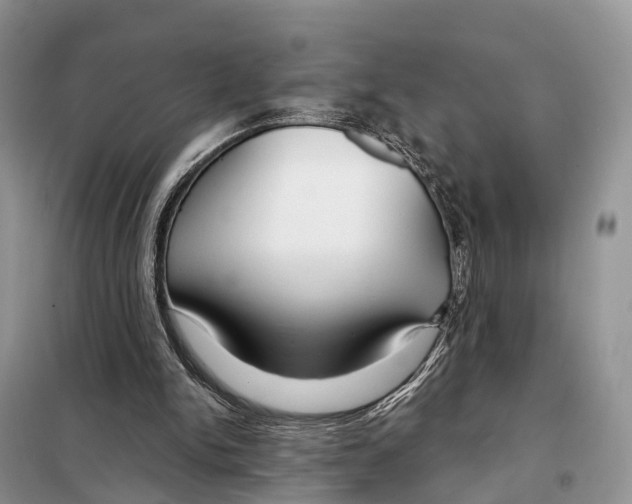 X0000098090150200805021054