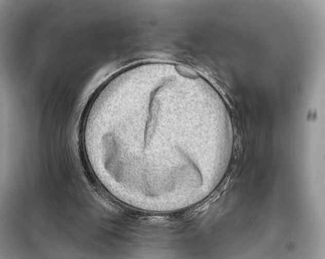 X0000098090151200805021054