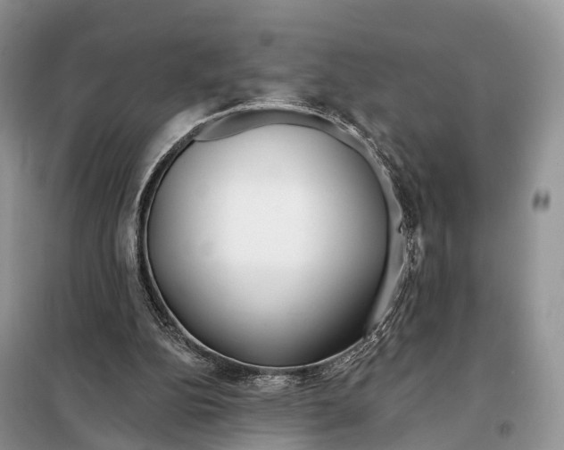 X0000098090152200805021054