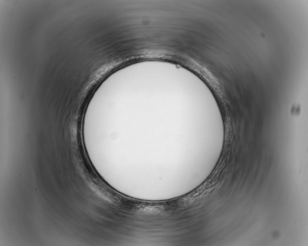 X0000098090155200805021054