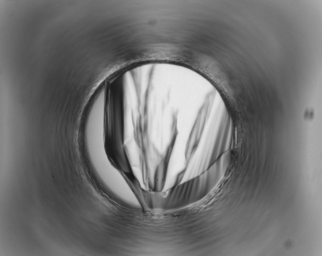 X0000098090156200805021054