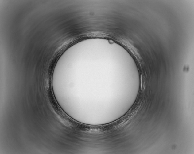 X0000098090157200805021054