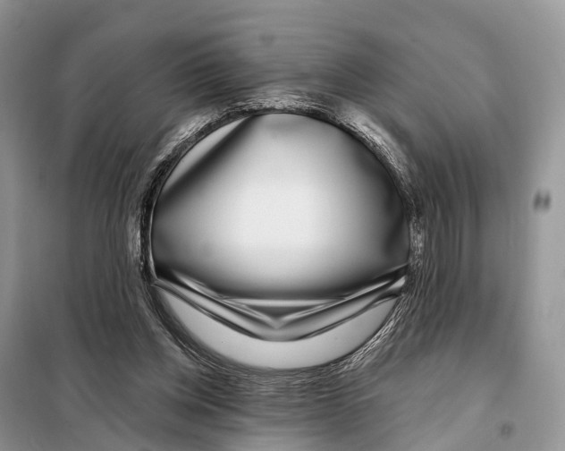 X0000098090158200805021054