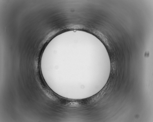 X0000098090159200805021054