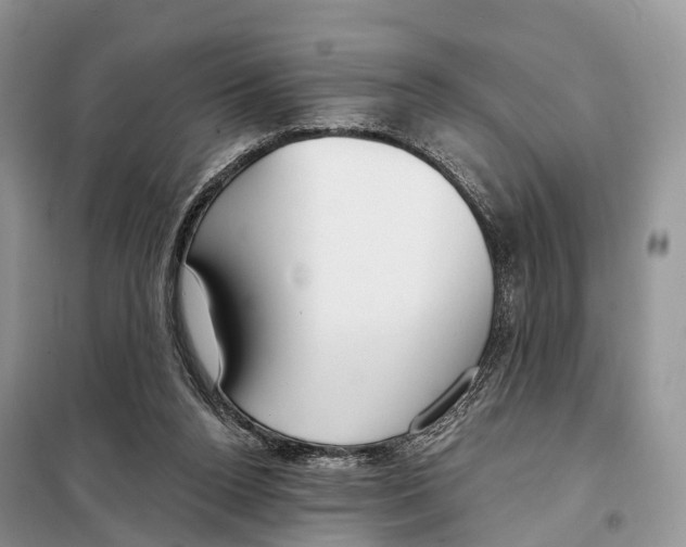 X0000098090160200805021054